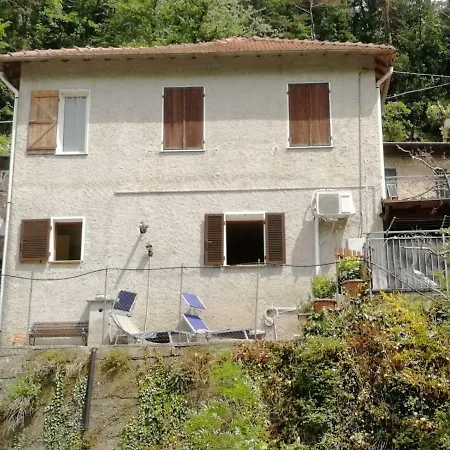 The River House